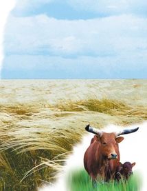 Читаю про Україну. Парки та заповідники. Image №3