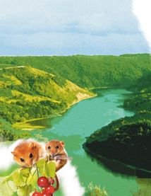 Читаю про Україну. Парки та заповідники. Image №4
