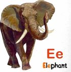 Цікаві абетки. English Alphabet . Image №5