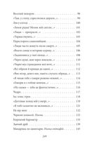 Тиша і грім. Поезії. Image №5
