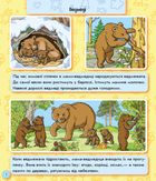 Енциклопедія в картинках. Світ тварин. 3+. Image №4