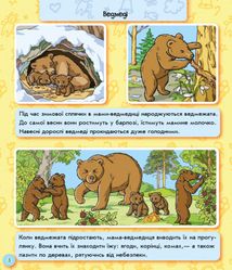 Енциклопедія в картинках. Світ тварин. 3+. Image №4