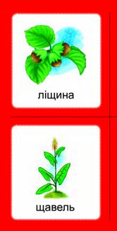 Логопедичне лото. Асоціації. Звуки [ж]-[ж], [ж]-[ш], [ш]-[ш], [ч]-[ч], [ч]-[ш. Image №3