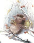 Зайчикова книжечка. Зображення №11