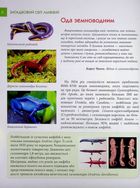 Загадковий світ амфібій. Image №4