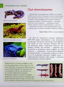 Загадковий світ амфібій. Image №4