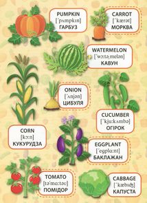 Перші слова. Панорамка з наліпками. Фрукти та овочі. Fruit and Vegetables. Зображення №8