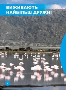 Хто з ким дружить, або дивовижі симбіозу. Image №3