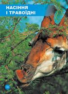 Хто з ким дружить, або дивовижі симбіозу. Image №5