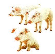 Карамелька. Цифри. Зображення №6