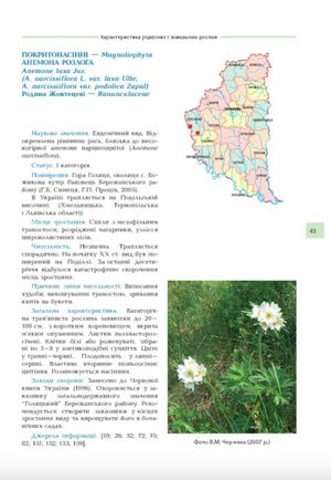Рідкісні та зникаючі рослини Тернопільщини з Червоної книги України — фото 10
