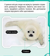 Робопарк і не тільки. Рівень 4. Image №3