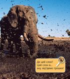 Домашні улюбленці і не тільки. Рівень 5. Image №5
