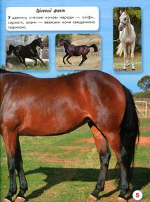 Світ навколо нас. Фотоенциклопедія. Коні. Image №5