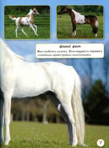 Світ навколо нас. Фотоенциклопедія. Коні. Image №7