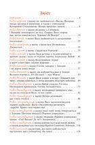 Незнайомка з Країни Сонячних Зайчиків. Зображення №8