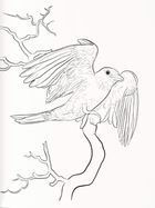 Птахи України. Книга-розмальовка. Зображення №4