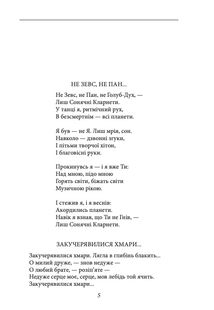 Рання лірика. Зображення №3