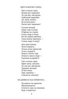 Рання лірика. Зображення №7