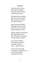 Княжа Україна. Зображення №2