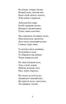 Княжа Україна. Зображення №6