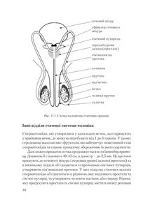 Віднайдення плідності. Путівник для подружніх пар, що мають труднощі на шляху до батьківства. Image №8