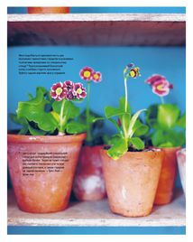 Шелфі. Image №10