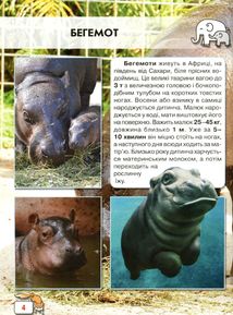 Світ навколо нас. Фотоенциклопедія. Малята тварин. Зображення №11