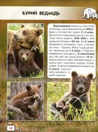 Світ навколо нас. Фотоенциклопедія. Малята тварин. Зображення №14