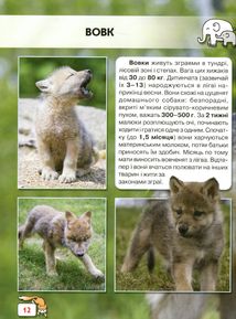 Світ навколо нас. Фотоенциклопедія. Малята тварин. Зображення №15