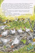Петсон, Фіндус і переполох на городі. Image №9