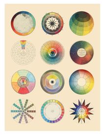 Анатомія кольору. Зображення №4