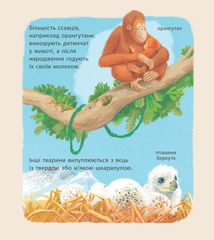 Дивовижні дитинчата тварин. Image №3