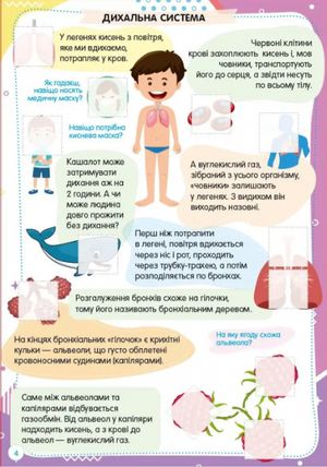 Веселі забавки для дошкільнят. Тіло людини — фото 5
