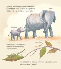 Дивовижні дитинчата тварин. Image №5
