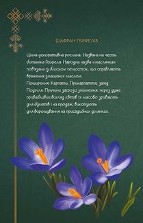 Мавка. Щоденник. Весна. Image №6