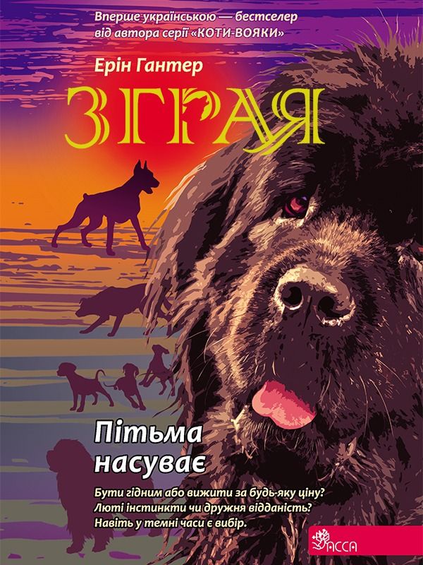 Обкладинка Пітьма насуває. Книга 3