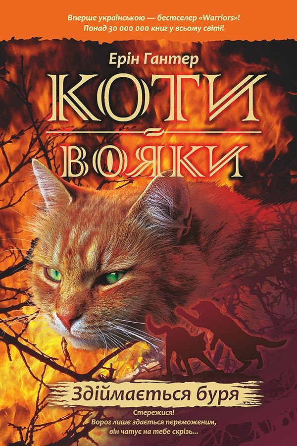 Обкладинка Здіймається буря. Книга 4