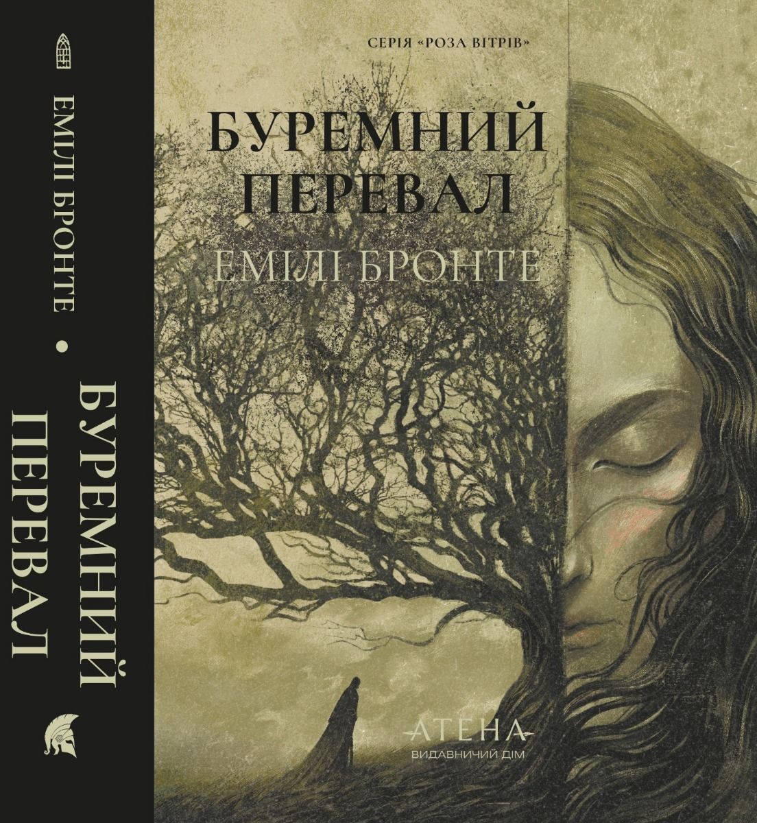 Обкладинка видання Буремний перевал
