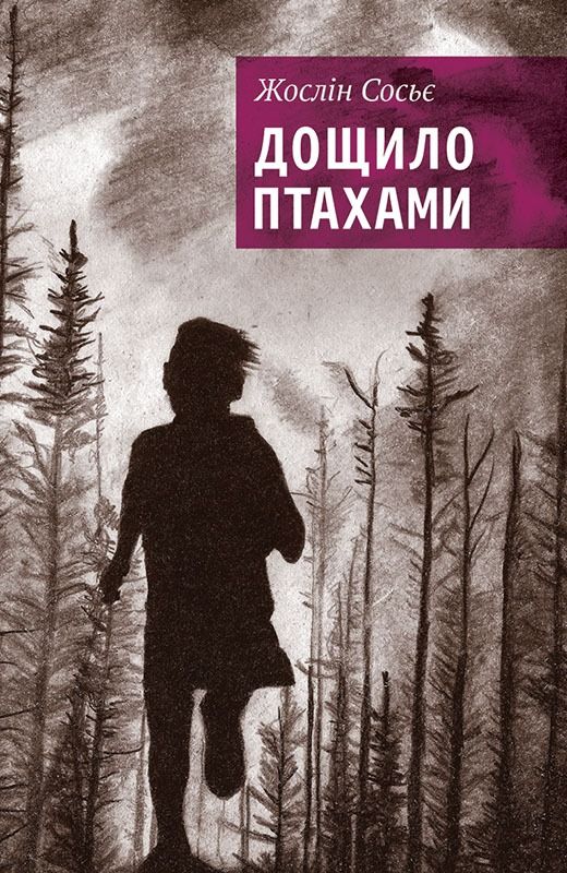 Дощило птахами (Електронна книга)