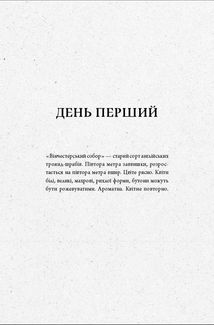 Дім з міцним кістяком. Image №4