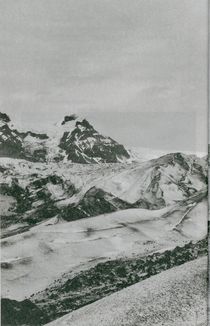 DO/Дизайн. Чому краса є початком всього. Image №5