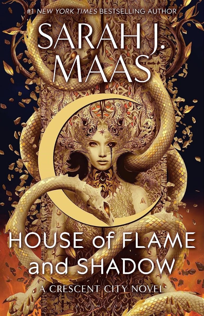 Обкладинка House of flame and shadow