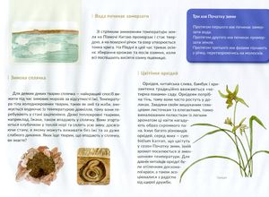 24 сезони колеса року — Лі Дзін, фото 9