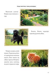 Казкова розмовляночка за малюнками. 4+. Image №10