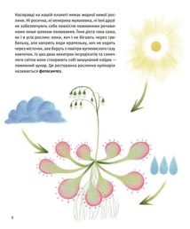 Хто такі хижі рослини?. Image №5