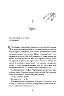 Обмін на Різдво. Image №5