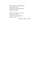 Паніка на Парнасі. Поезії. Пісні. Казки. Image №6