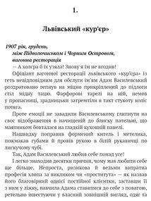Панянка-детектив з Проскурова. Проскурівський психопат. Книга 3. Image №5