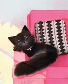 Принцеса Пухколапка та Деріл. Image №5